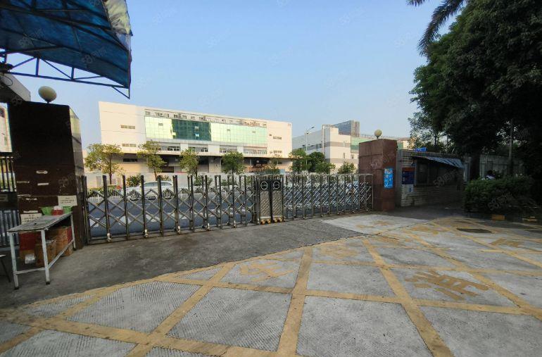 龙华原房东独院3万平厂房出租共5栋钢构8000平一楼仓库招租