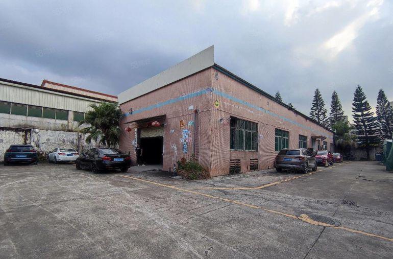 观澜标准一楼厂房出租560平方 空地大，面积实