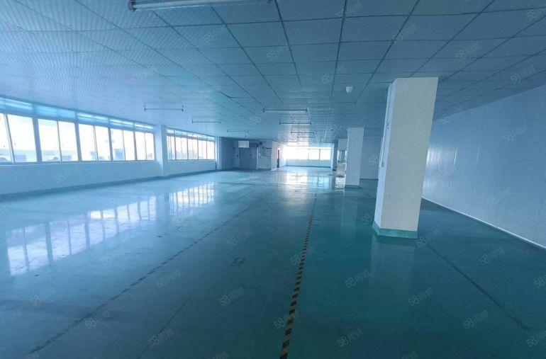 300起租 观澜红本工业园一二楼各2000平厂房出租实际面积