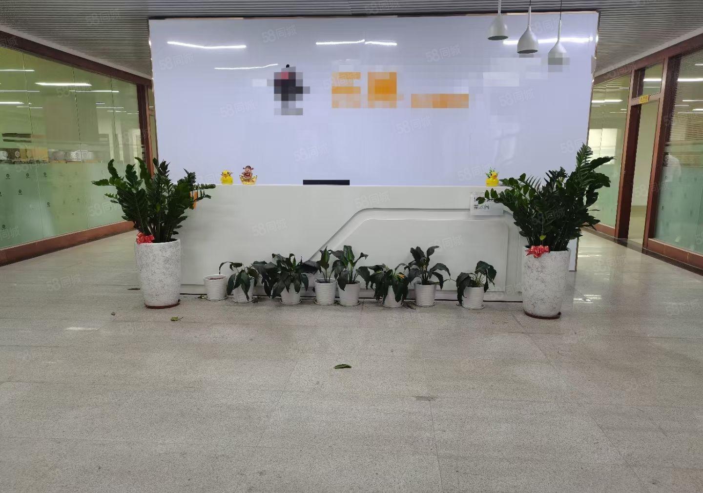 观澜高新技术产业园1800平带装修办公室有红本租凭可整租分租