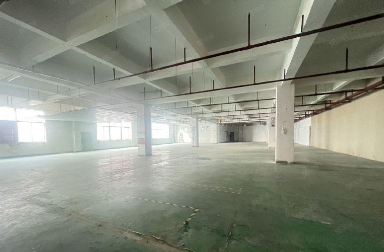 龙华观澜新田原房东红本楼上1450平，精装修，前台，价格便宜