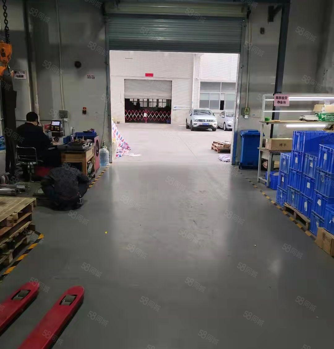 大浪与石岩交界处新出一楼1000平标准厂房 高使用率达80