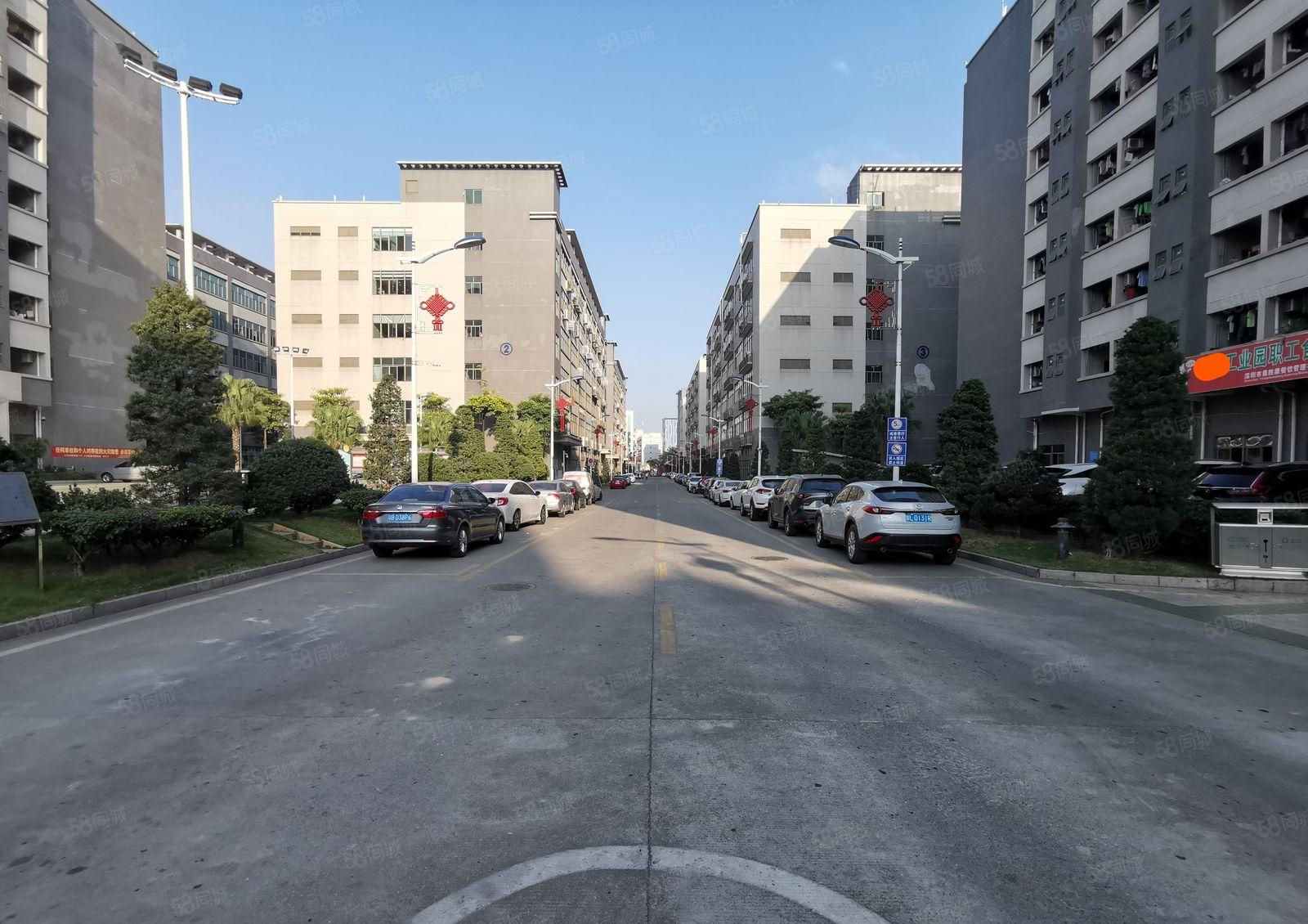 龙华大浪联建原房东工业园1600平带精装修一楼厂房出租可分租