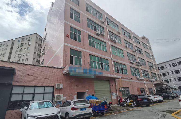 观澜主干道边工业园三楼标准厂房600平，带装修办公室，好招工