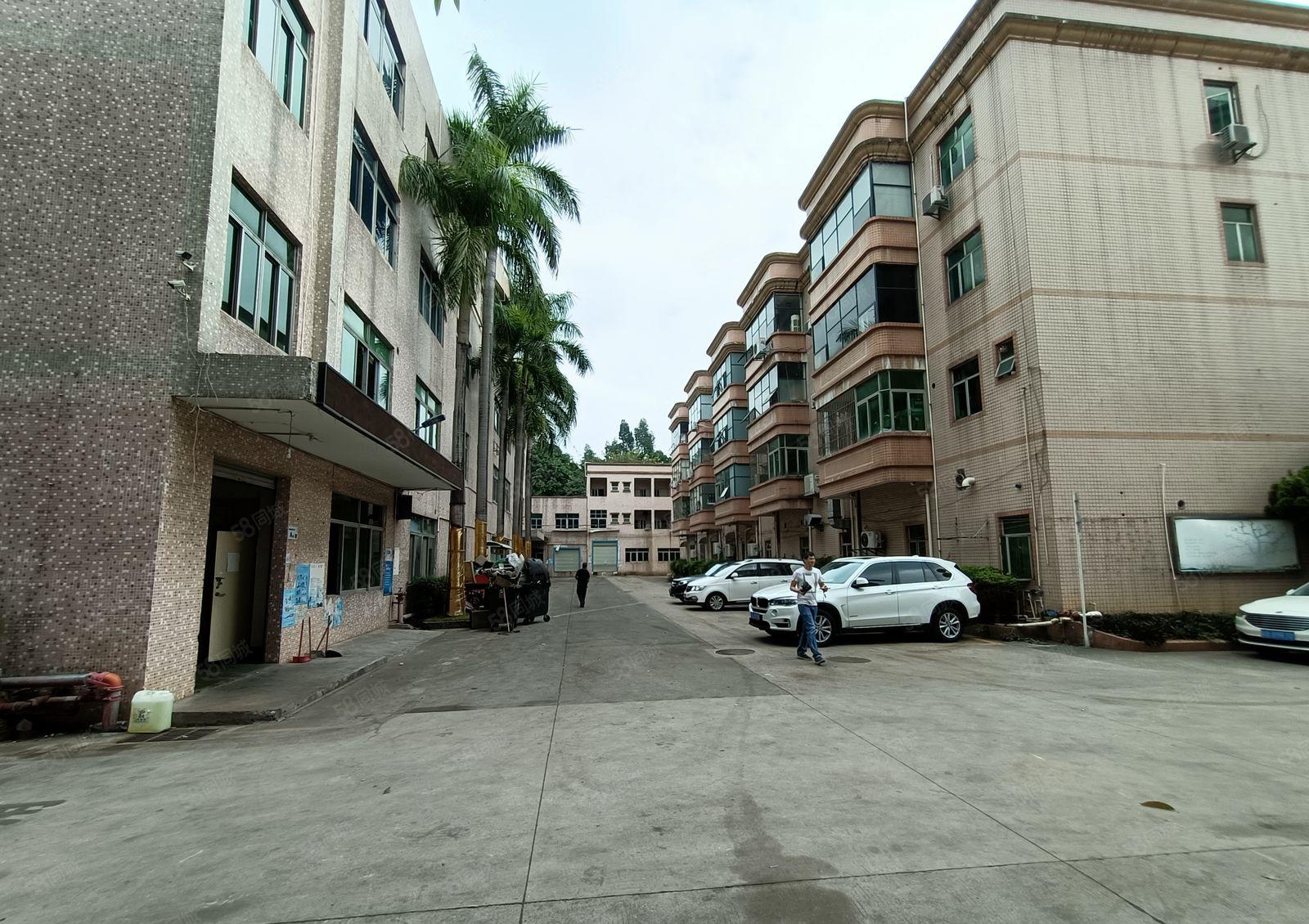 出租观澜环观中路独院厂房11500平优惠招租精装修现成水电。