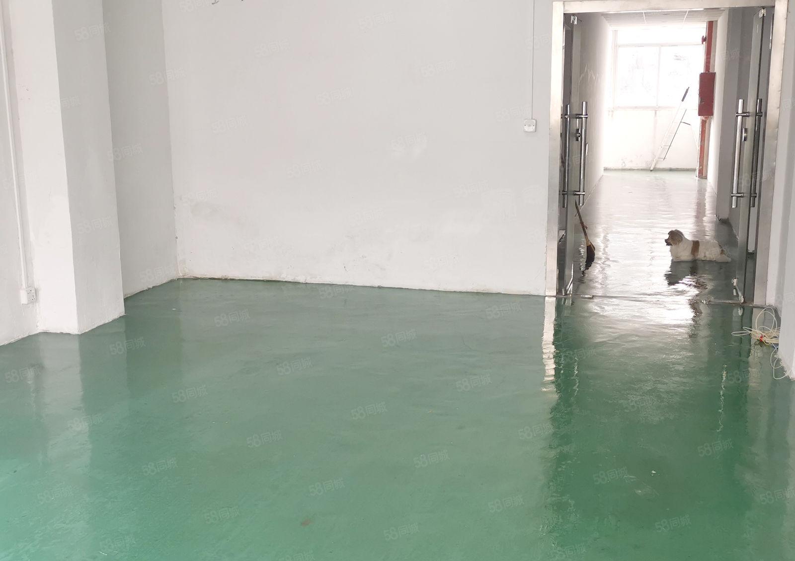 龙华观澜小面积厂房办公室仓库招租