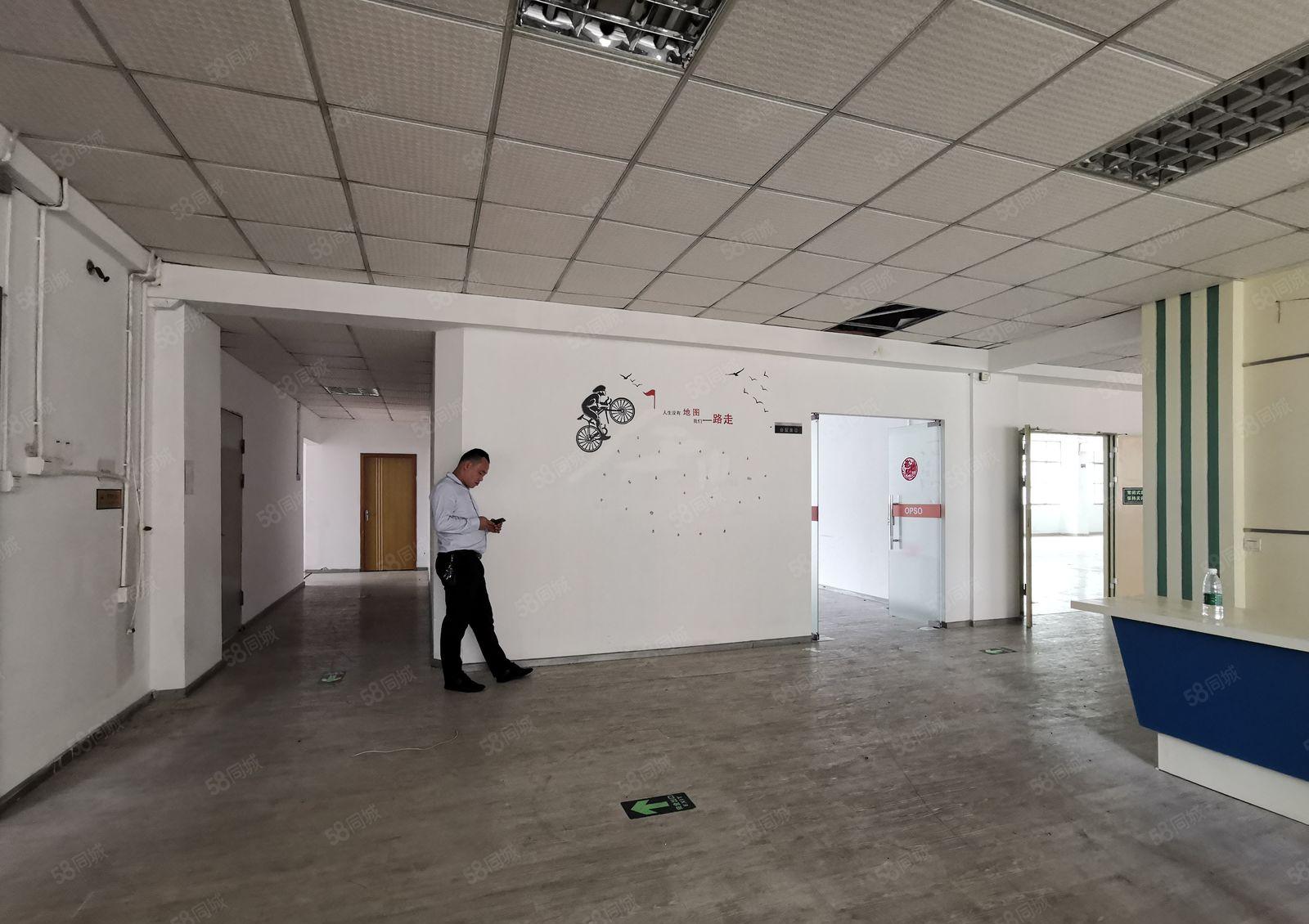 龙华大浪服装基地工业园2000平精装修办公室仓库厂房出租分租