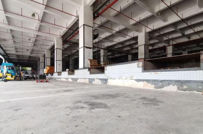 龙华大浪电商物流园厂房仓库出租1000平2000平2万平