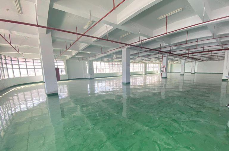 高新园区带装修红本厂房出租研发生产办公出租有补贴实际面积出租