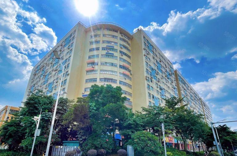 龙华信息港旁 原房东 可做上下水 精装房源 25元平