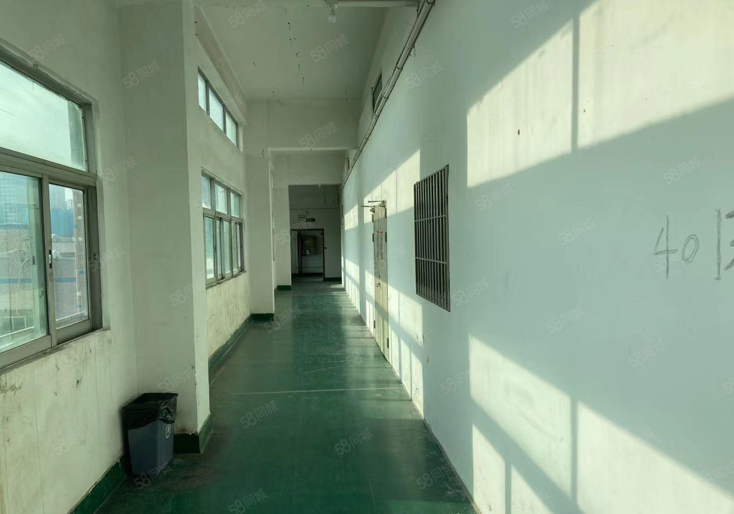 观澜同富裕工业区新出二楼600平方带装修厂房低价出租