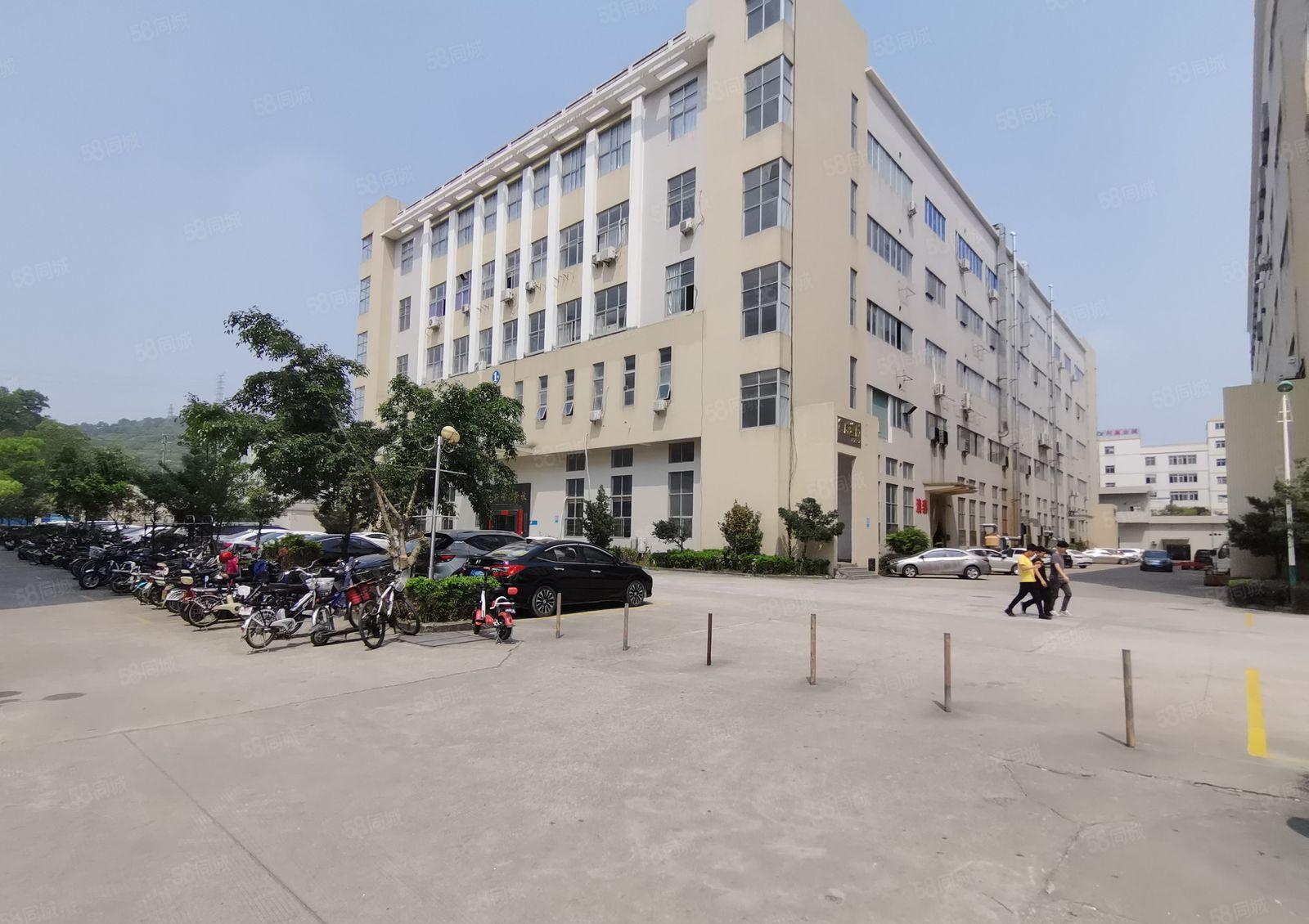 龙华大浪新出100平起分租独栋厂房仓库写字楼出租精装修地铁口