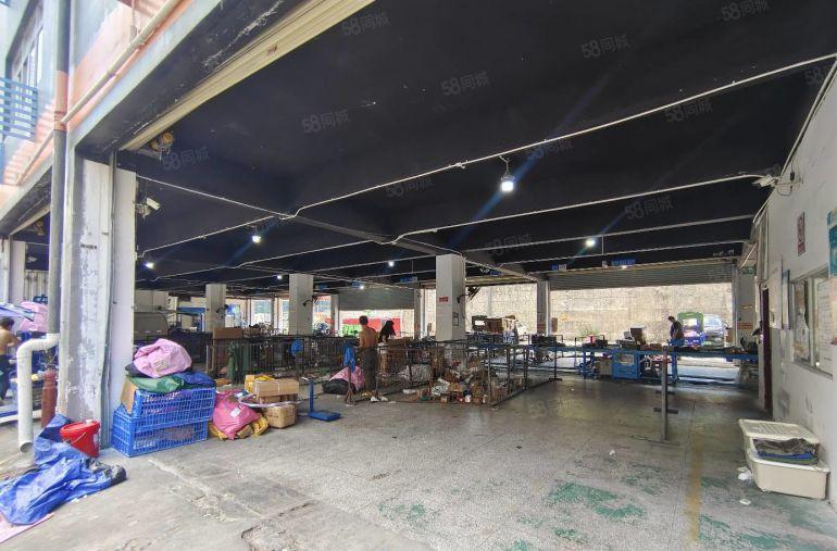 展滔科技大厦附近新出一楼厂房出租1330平方前后10个门