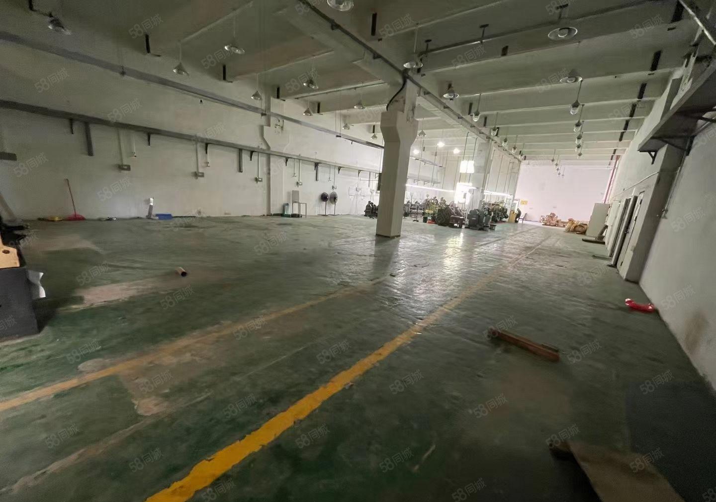 观澜 一楼标准厂房出租1170平方 高度6米带牛角