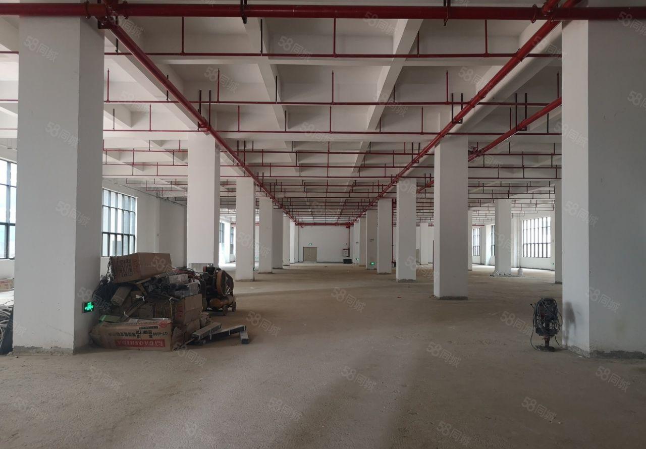 龙华高端独院红本厂房6500平米可整租分租，适合高新企业