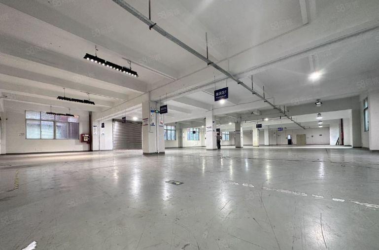 观澜地铁口村委独院红本仓库厂房10800平一楼200平起分租