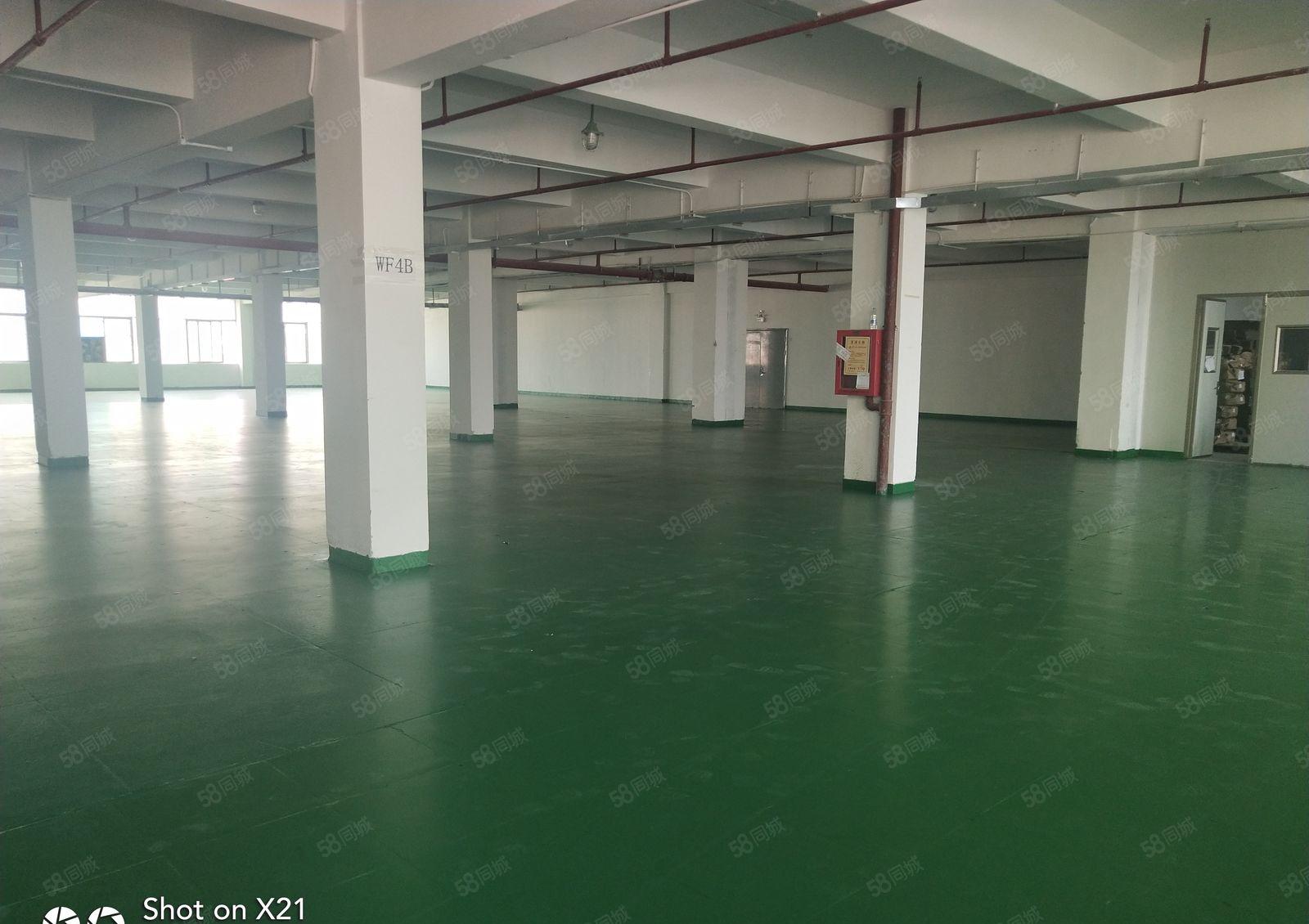 观澜主干道上独院厂房4100平米，每层1025平米，可分租