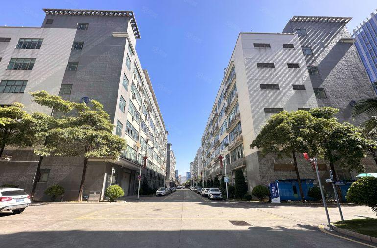 龙华大浪原房东工业园新出楼上700平带前台办公室厂房出租