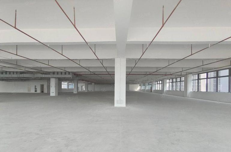 开发商直租红本厂房5000平方出租大小可分租可办环评交通便利