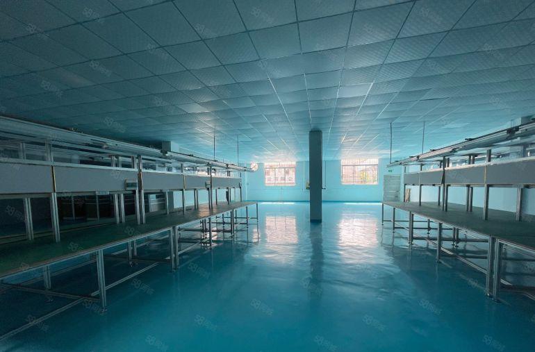 龙华大浪精装修无尘车间厂房800平方米出租，水电齐全