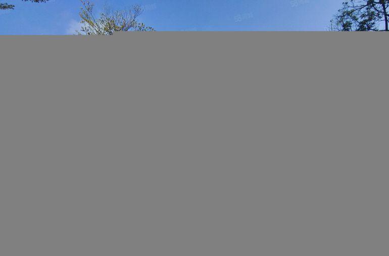 临深圳塘厦科苑城高新科技园原房厂房低价出租30000平可分租