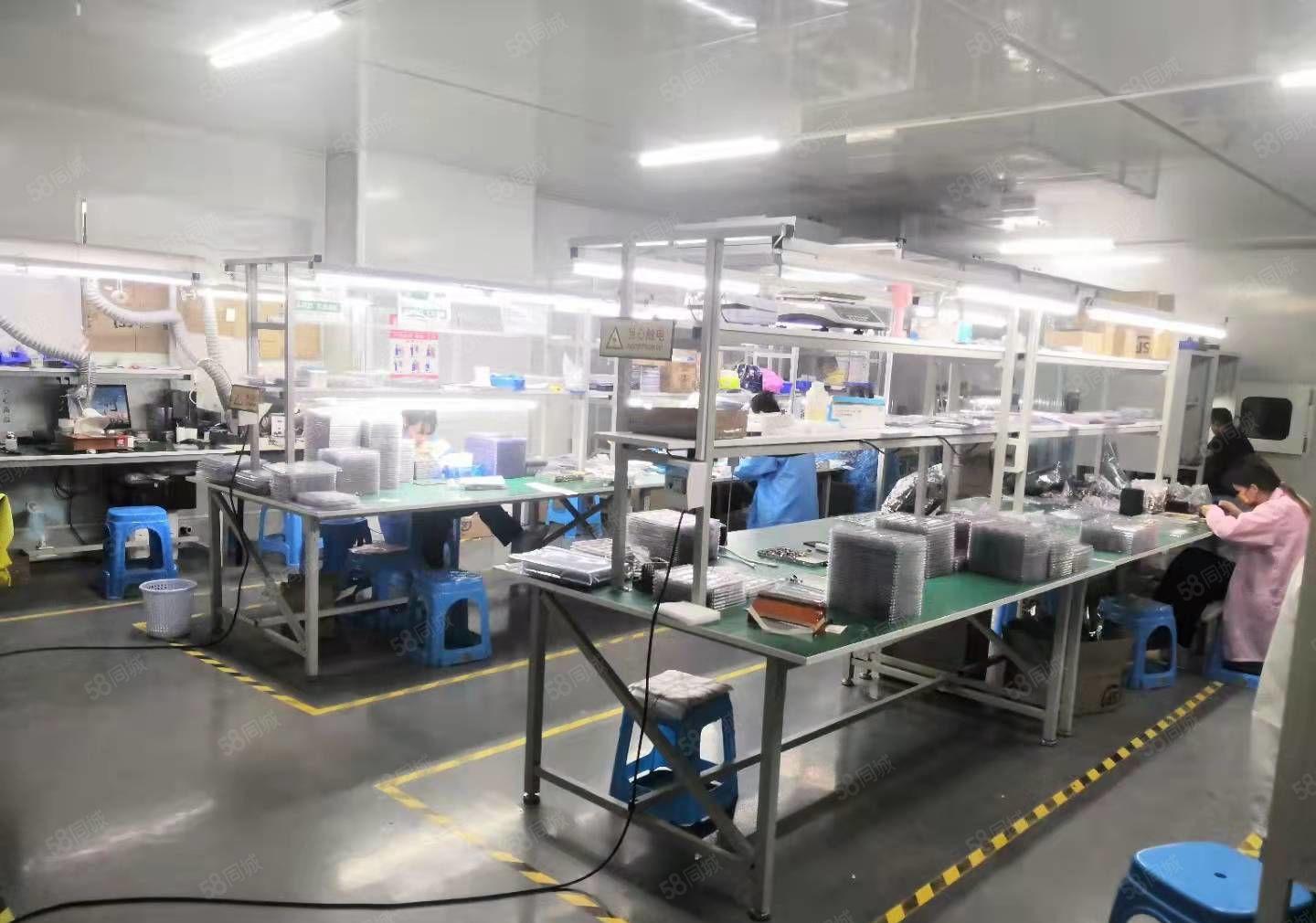 龙华大浪上横朗附近新出楼上1000平精装无尘车间厂房出租.