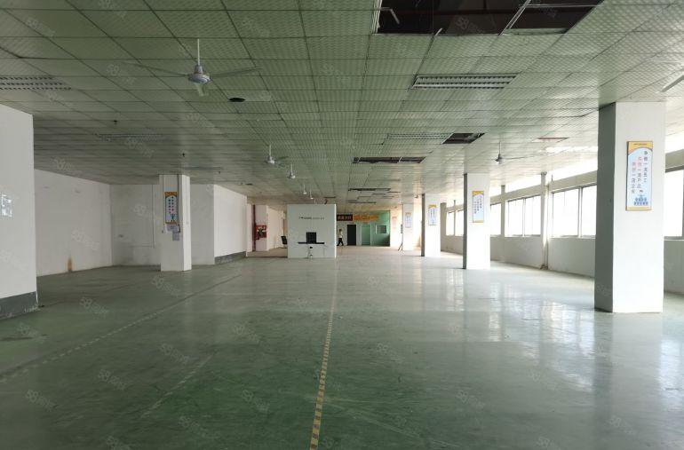 龙华观澜主干道边大富工业园区三楼标准厂房3520平，低价租！