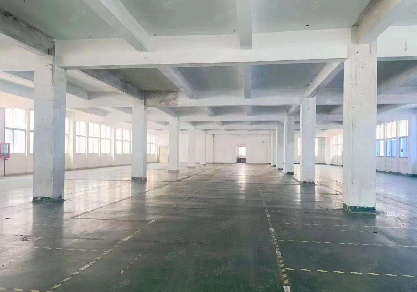 深圳观澜同富裕工业区新出一楼3000平方红本厂房出租