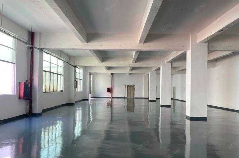 租金21元全包。龙华大浪原房东厂房仓库，二楼480平出租