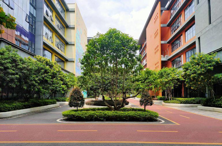 300平起租 观澜红本厂房出租整层2000平可分租 仓库出租