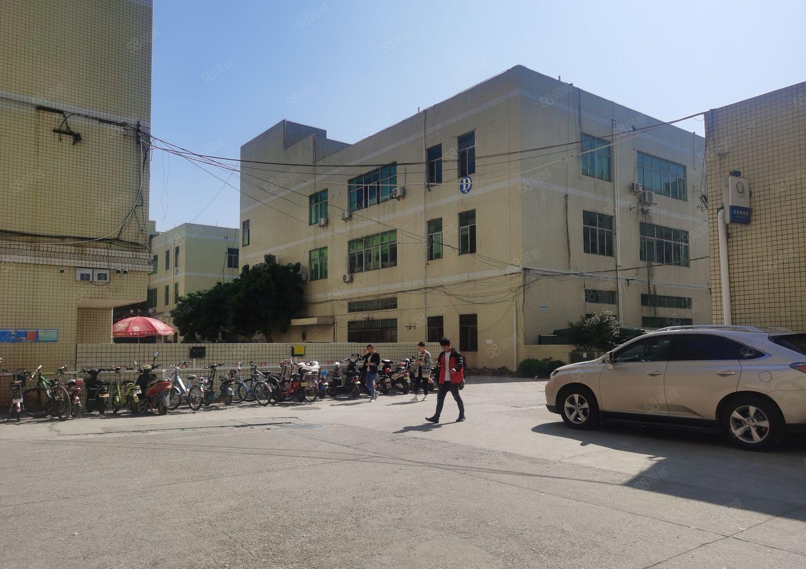 观澜环观中路大型园区带装修水电齐全厂房出租1000平米有电梯