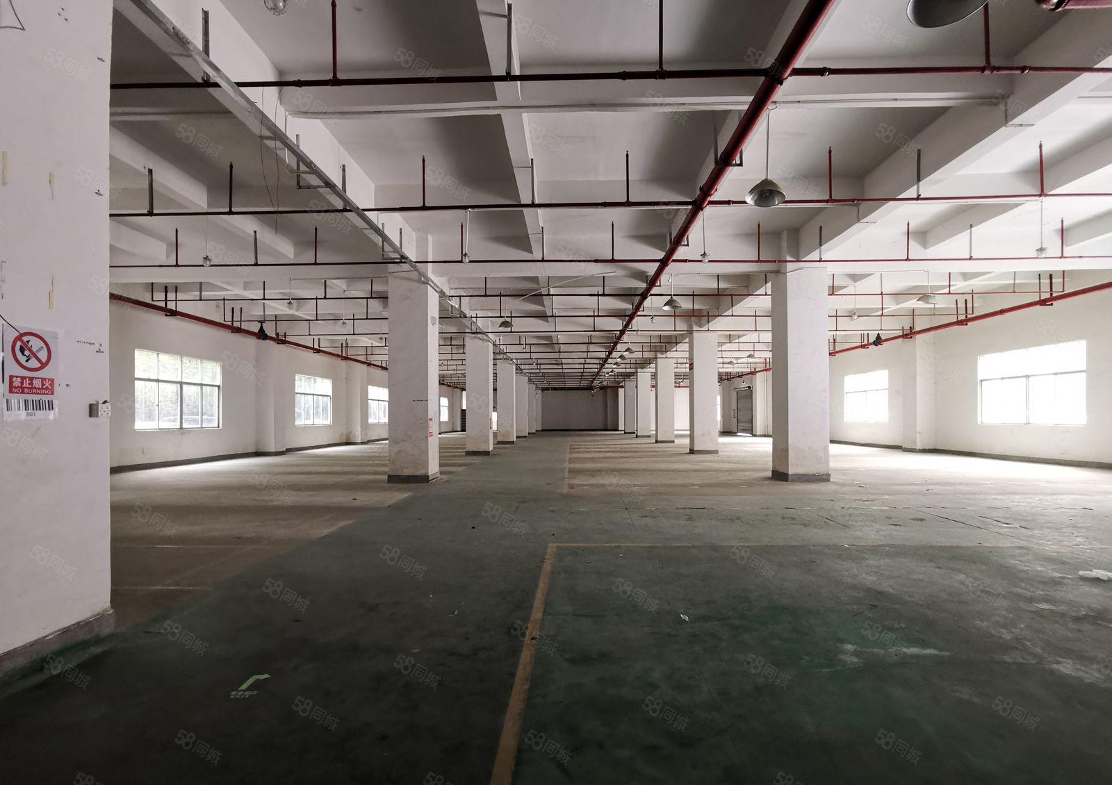 200平起租龙华大浪一楼1800平原房东独门独院厂房仓库出租