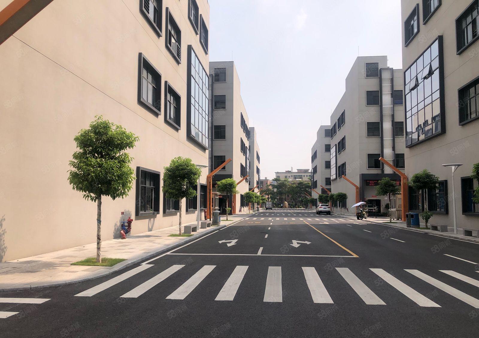 龙华大浪商业中心新出原房东独门独院6500平带装修厂房出租