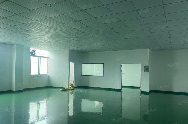 龙华大浪全新装修厂房，小面积130平起分租