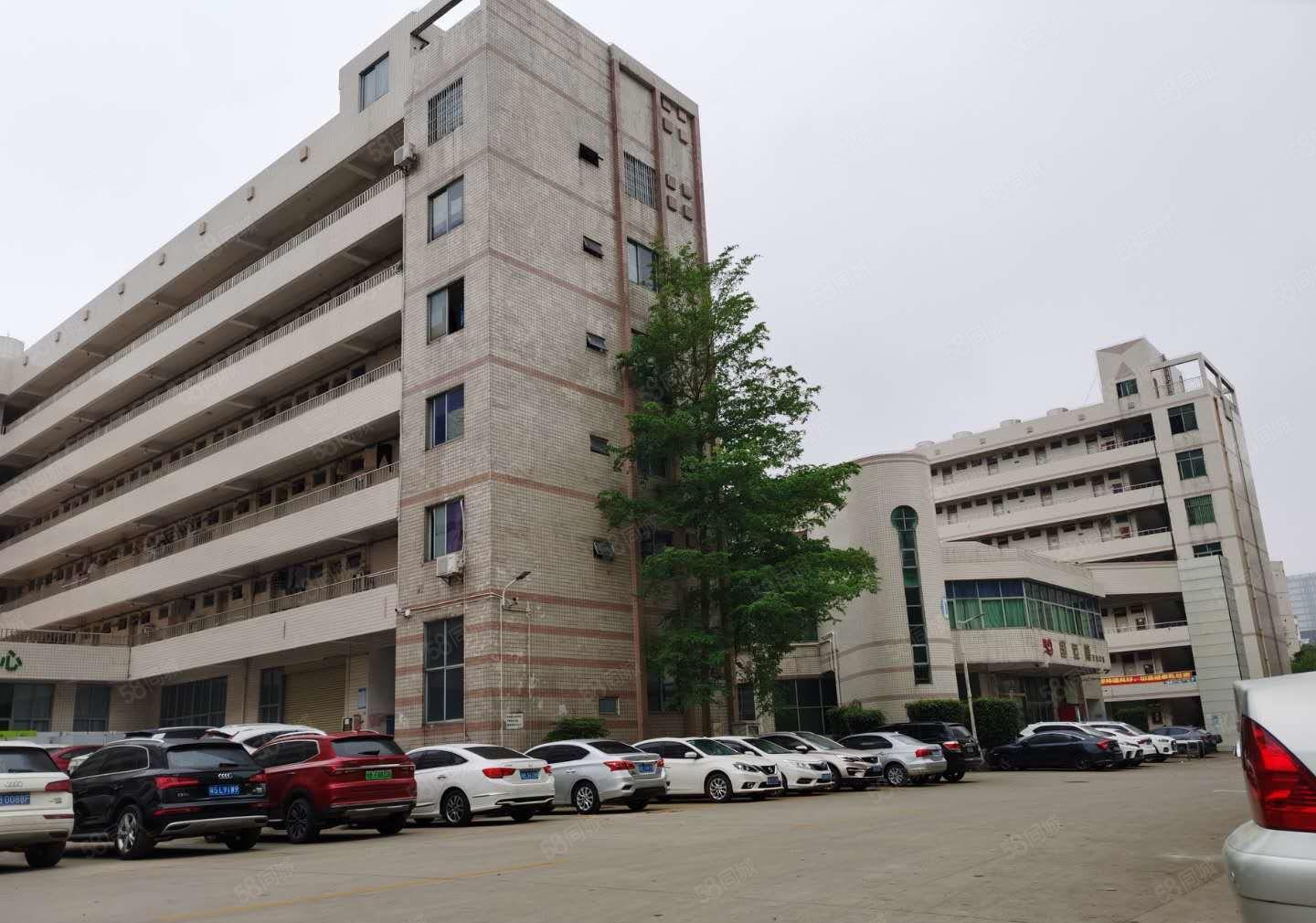 观澜中泰科技园区厂房6000平分租500平起23元起使用率高