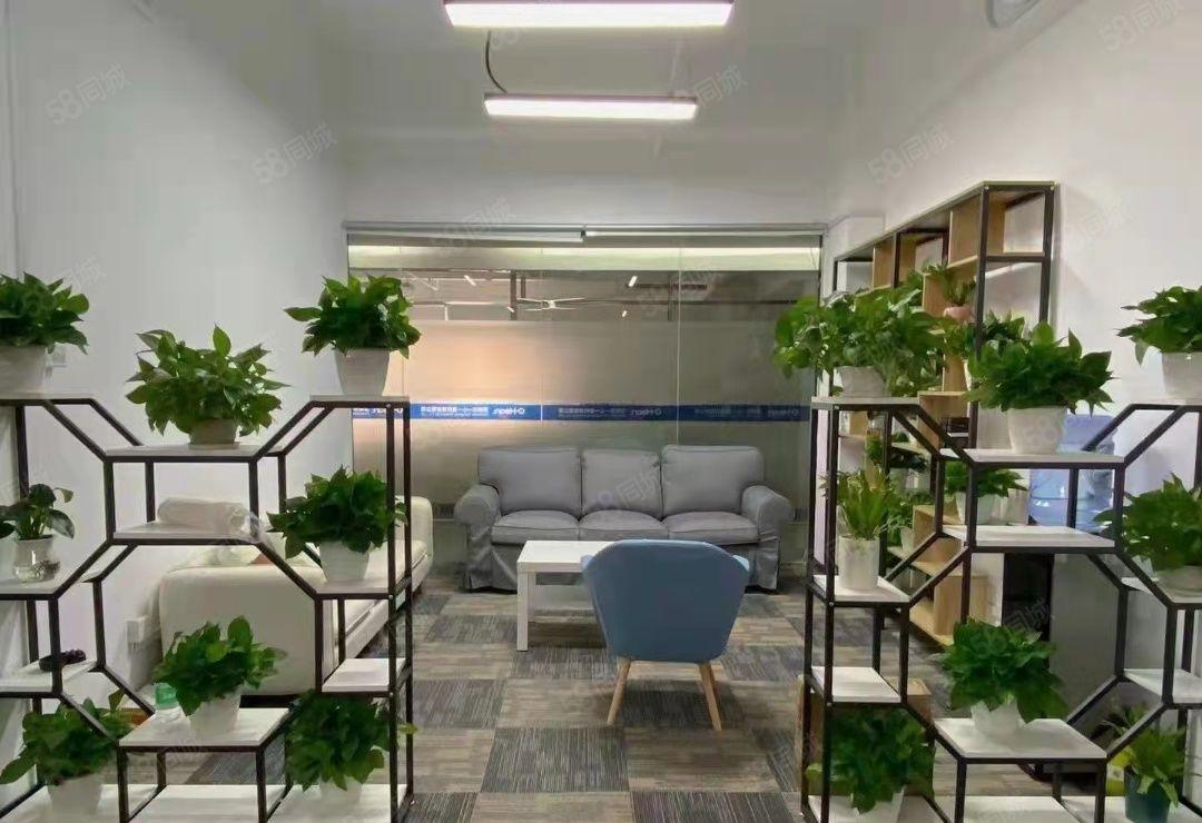 龙华大浪新出地铁站楼上豪华精装修556平 无转让费 现成格.