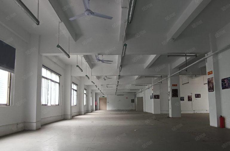 龙岗布吉丹竹头地铁口工业园1600平可分租仓库办公厂房出租