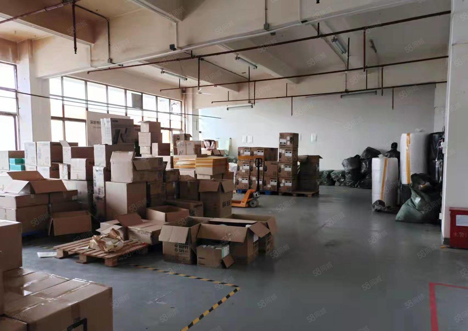 龙华大浪新百丽附近230平原房东小厂房出租