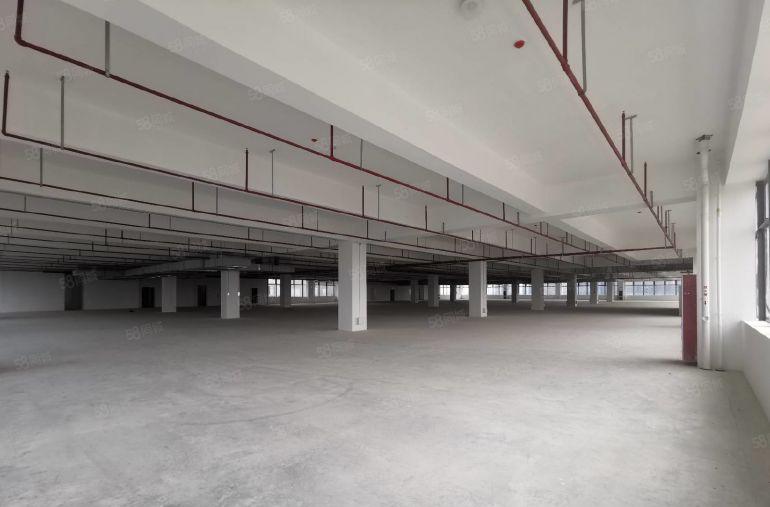 600平起分龙华观澜红本科技园实际面积出租2万平适合高新企业