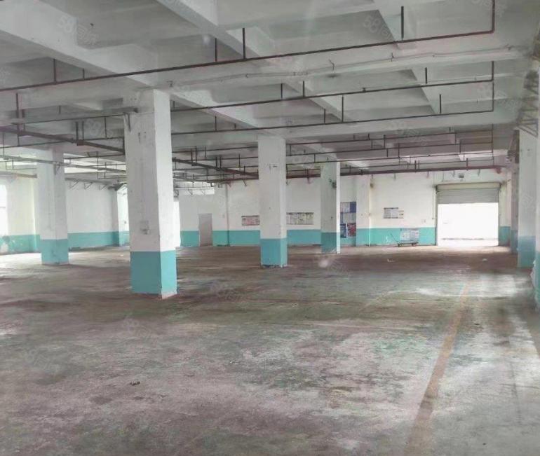 D9 137 2378 8242房东直租观澜独门独院沿街厂房