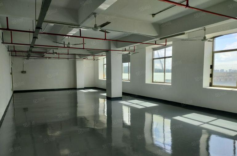 龙华汽车站附近550平米厂房研发办公出租