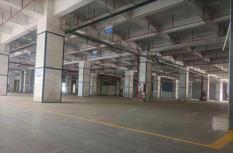 龙华一楼厂房仓库 层高6米 承载1吨每平米 火热直租