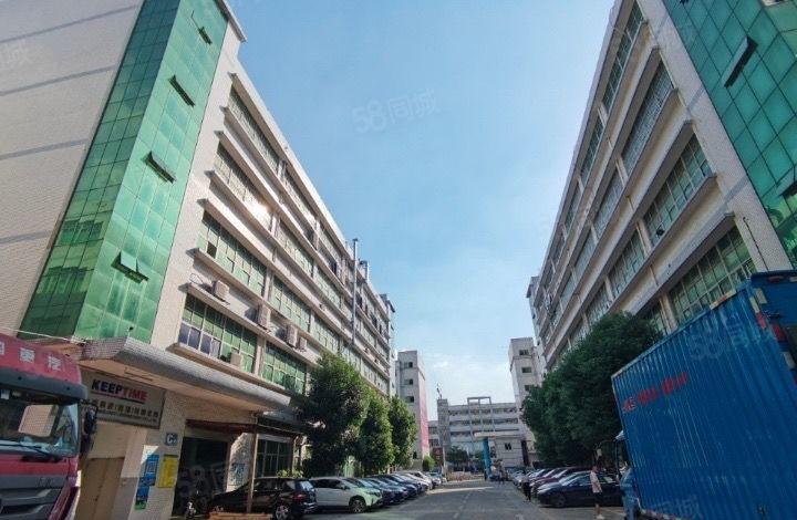 观澜章阁楼整层带装修办公加生产大小面积厂房出租 园区仓库出租