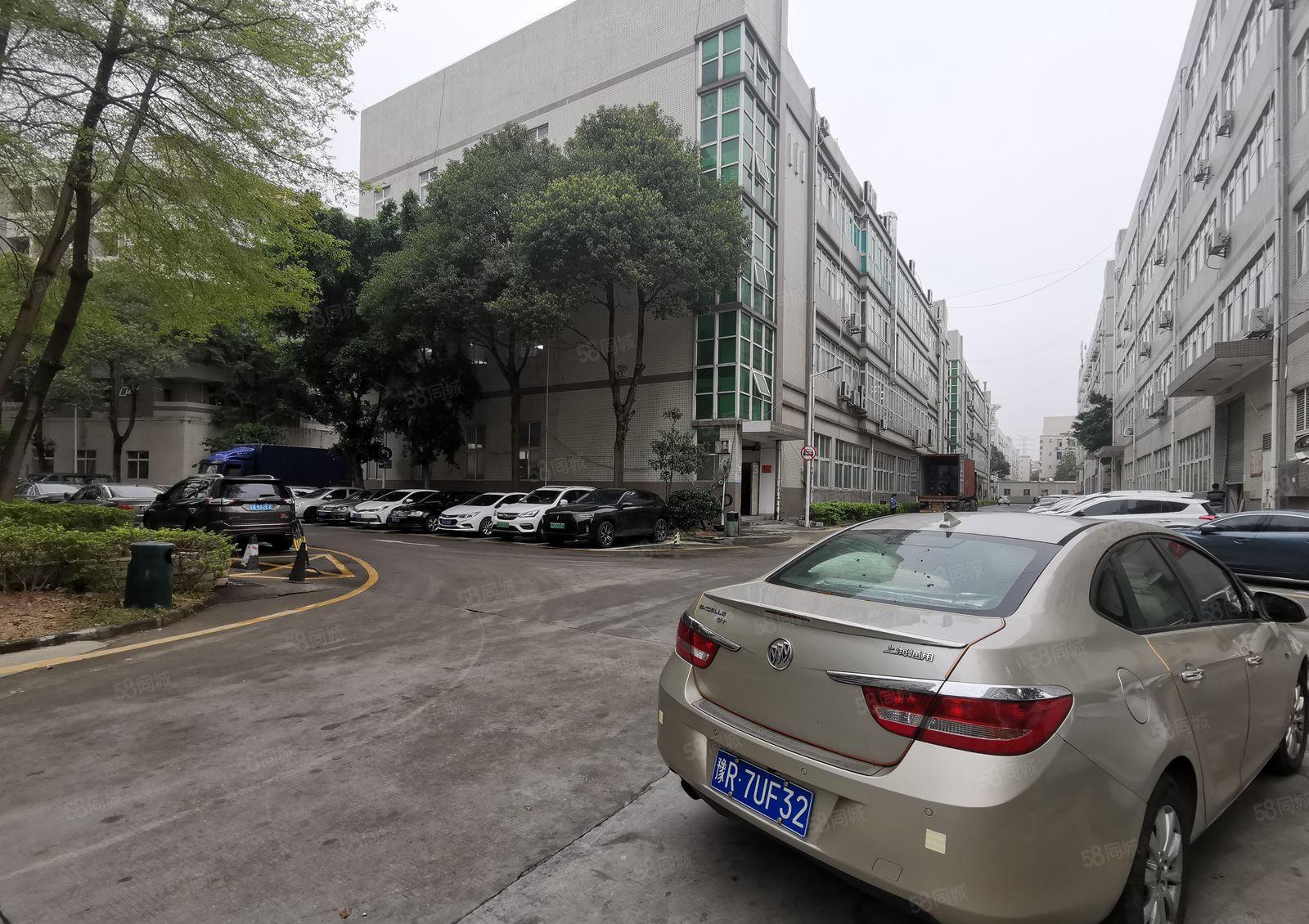 龙华浪口500平原房东整层精装修仓库厂房出租，200平起分租