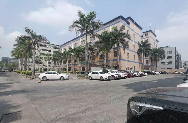 观澜牛湖300至1000平原房东独院精装修一楼仓库厂房出租