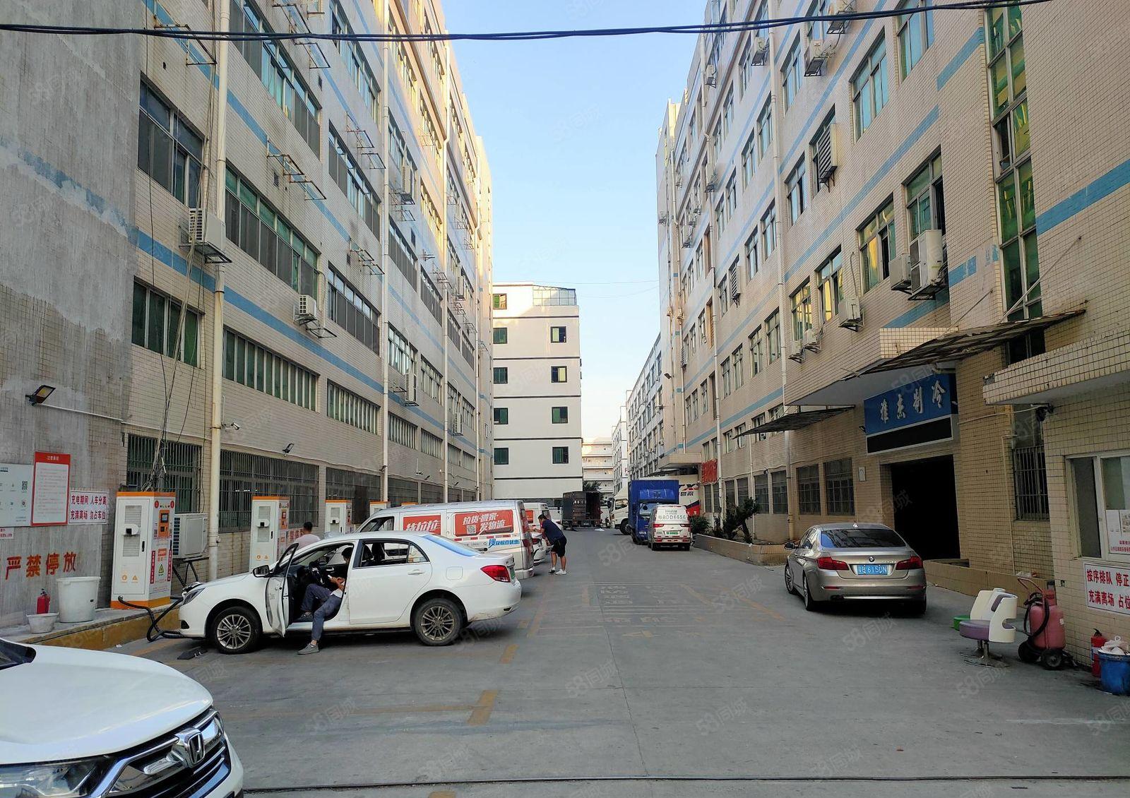 观澜工业园精装修2000平厂房出租可分租空地大一楼仓库出租