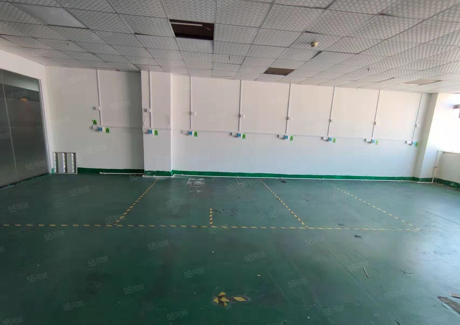 深圳龙华天虹附近新出楼上168平精装办公厂房出租