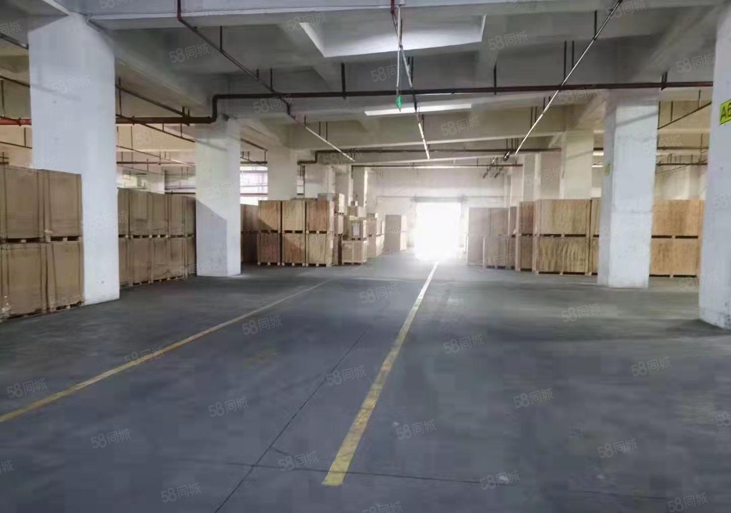 龙华18元每平米厂房5000平共3层200平起分租可仓储
