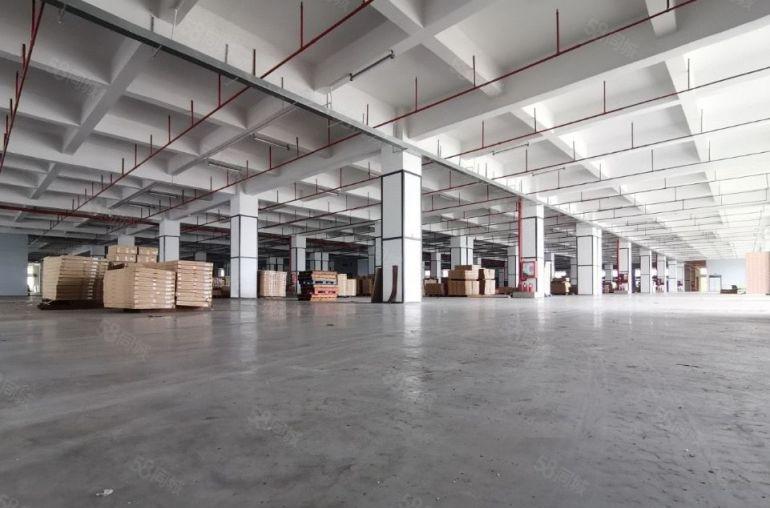 租金19元一平 5吨大货梯 1000平至5千平 龙华电商仓库