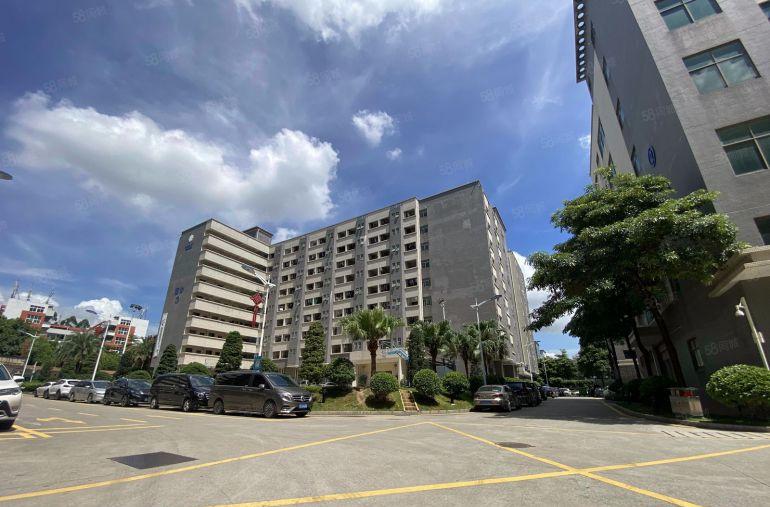 龙华大浪300平至5000平精装修厂房办公出租一楼仓库出租